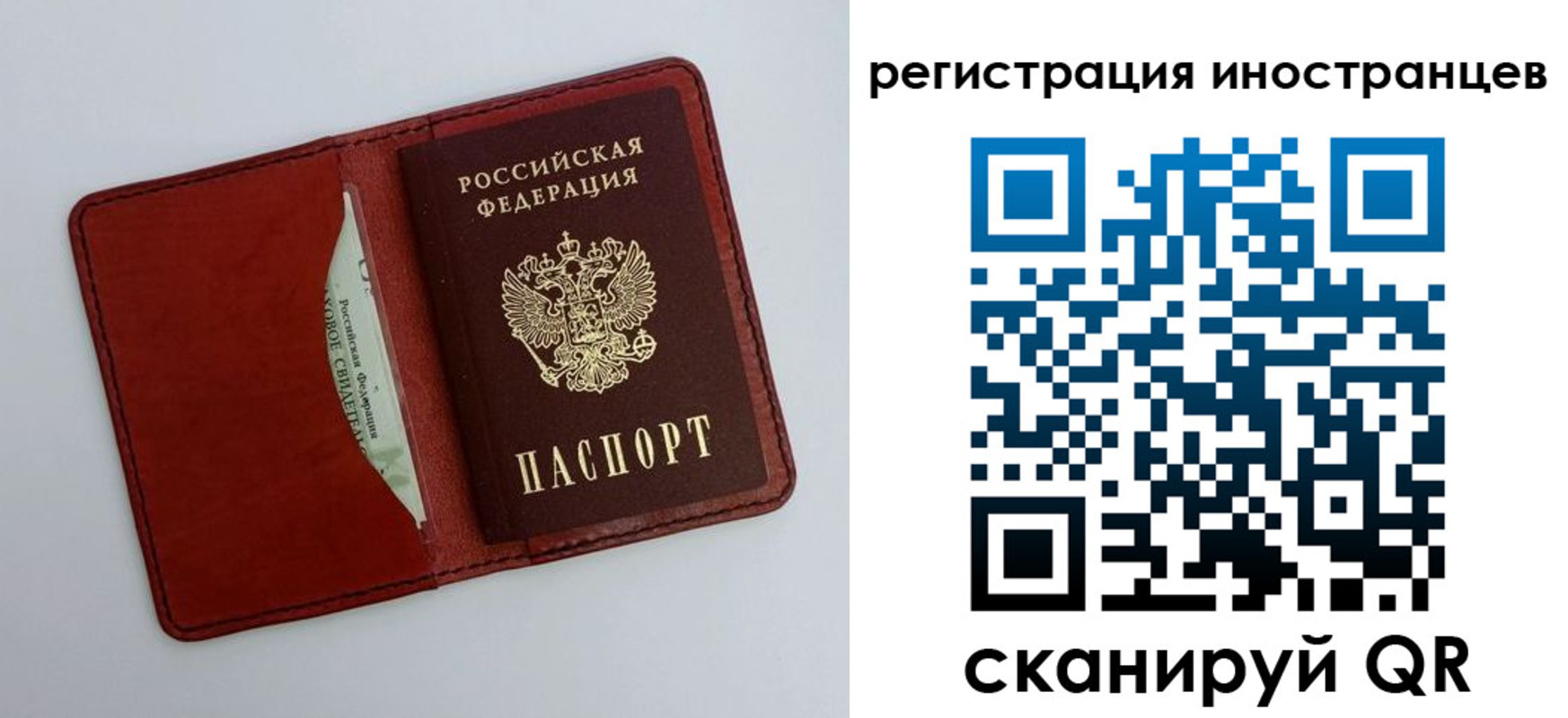 прописка 2025 в Долгопрудном